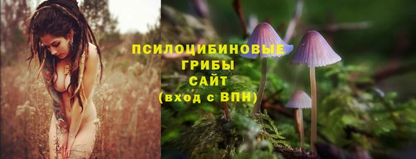 мет Елабуга