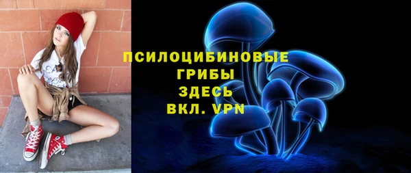 мет Елабуга