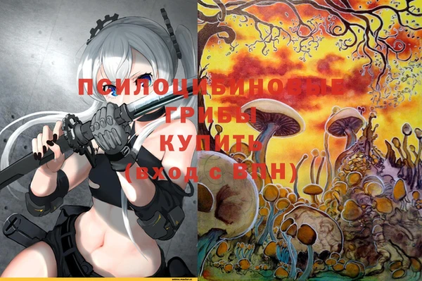 марки nbome Елизово