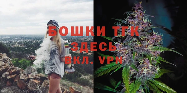 мет Елабуга