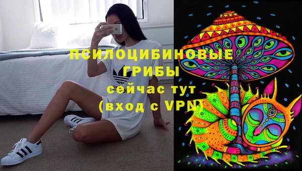 гидропоника Ельня