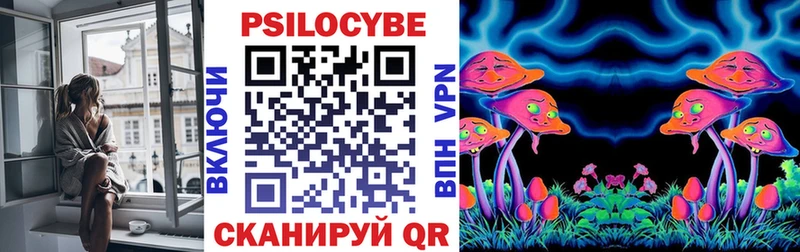 Псилоцибиновые грибы Cubensis  Купить закладки  Заводоуковск 