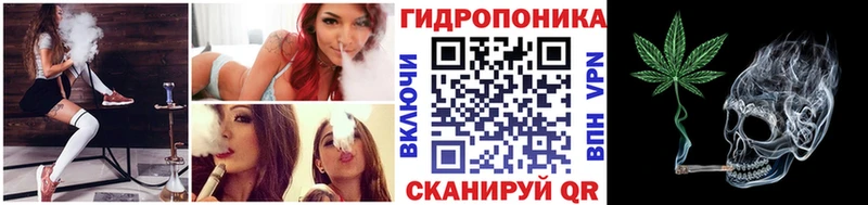 Бошки марихуана конопля  Купить где  Заводоуковск 